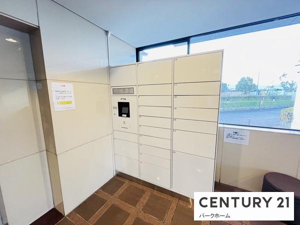 セザール琵琶湖大橋