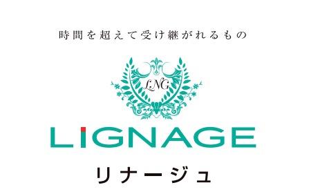 新築一戸建　1期