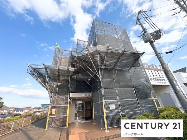 グローバル野路