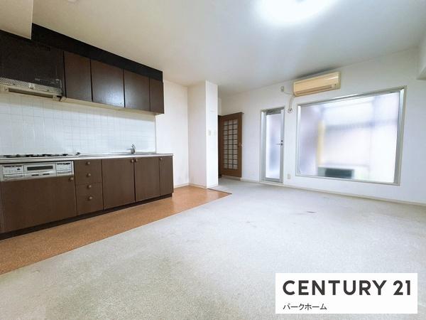 グローバル野路