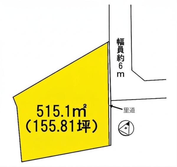 条件無