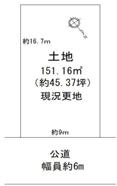 条件無