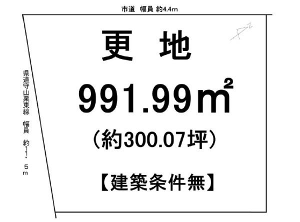 条件無
