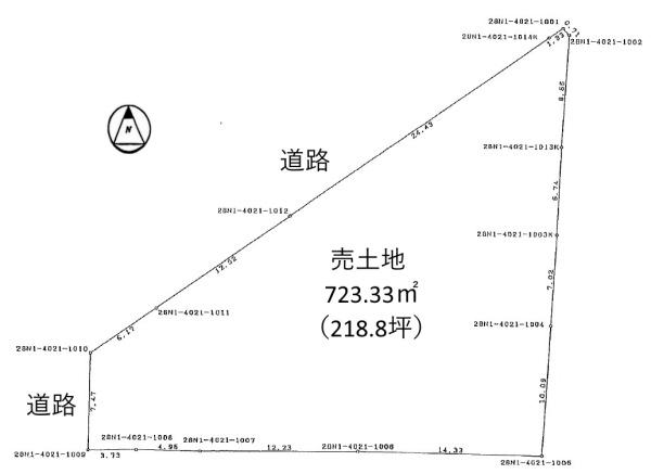 条件無