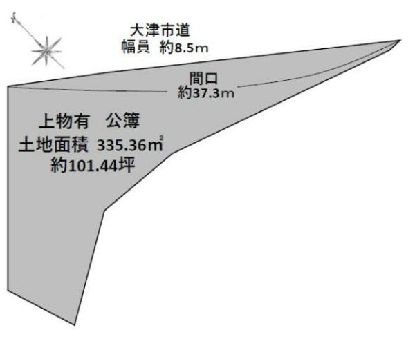 条件無