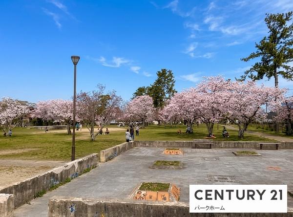 大津市南郷４丁目の土地(南郷上山公園)