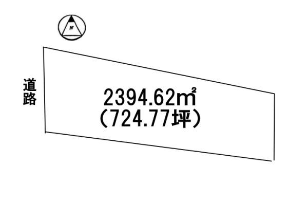 条件無