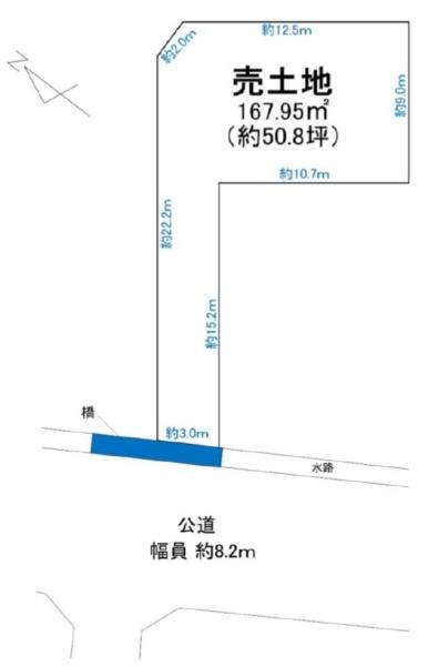 条件無