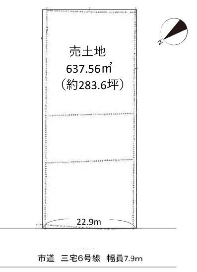 条件無