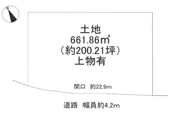 条件無