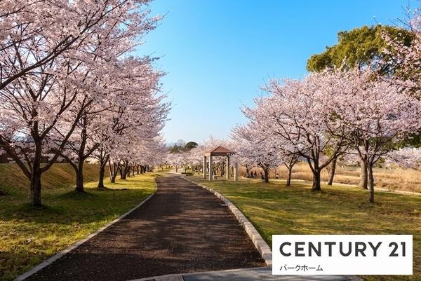 大津市里６丁目の土地(田上公園)