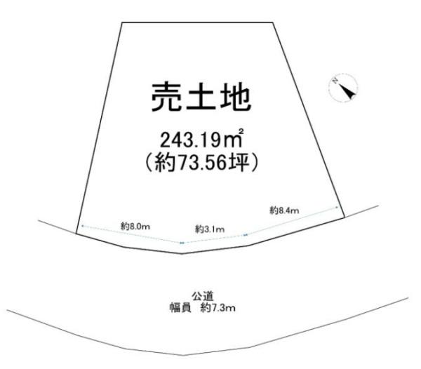 条件無