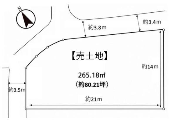 条件無