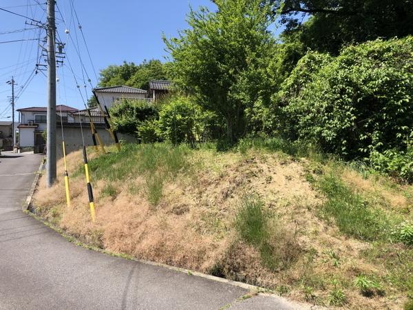 豊田市藤岡飯野町五釜の土地