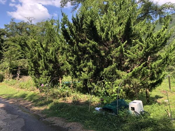 豊田市川手町シロ山の土地