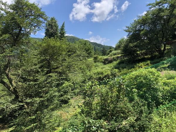 豊田市川手町シロ山の土地