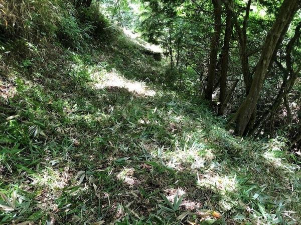 豊田市黒坂町奥山の土地