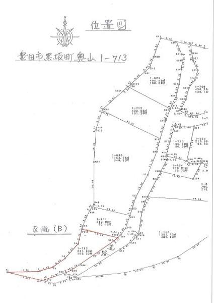 豊田市黒坂町奥山の土地