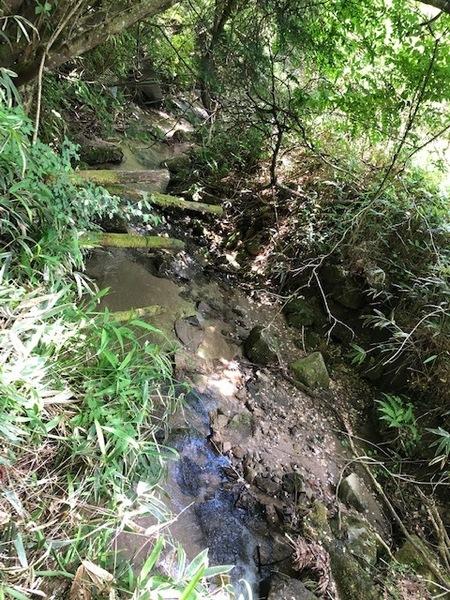 豊田市黒坂町奥山の土地