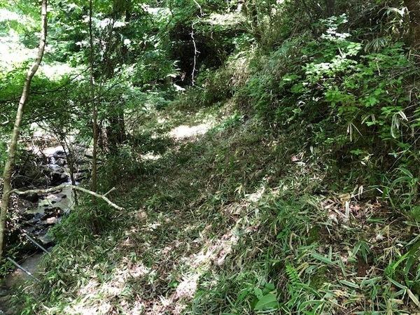 豊田市黒坂町奥山の土地