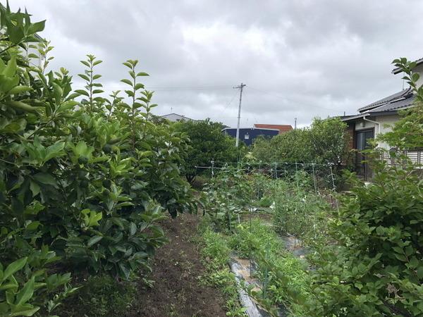 豊川市御油町橋際の土地