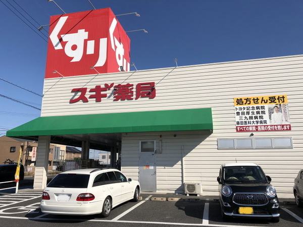 豊田市竹元町小田の新築一戸建(スギ薬局竹村店)