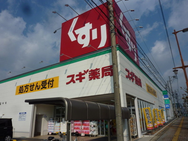 豊田市高上1丁目の新築一戸建(スギ薬局豊田高上店)
