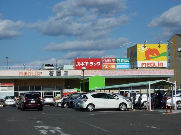 豊田市中根町西山の新築一戸建(メグリア若園店)