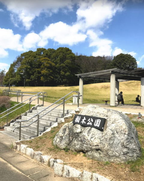 豊田市小坂町13丁目の新築一戸建(樹木公園)