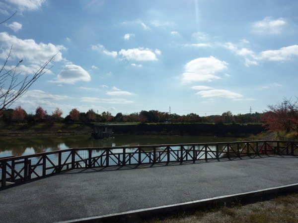 豊田市乙部ケ丘2丁目の中古一戸建て(乙部公園)