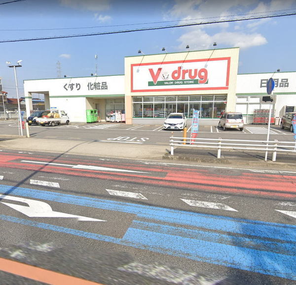 豊田市西岡町切畑の新築一戸建(V・drug富士松店)
