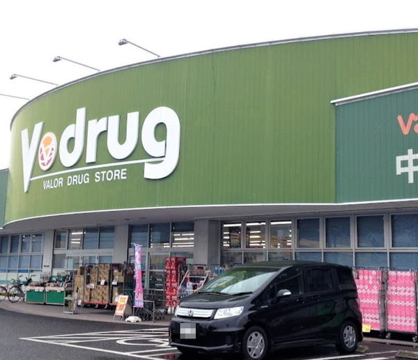 岡崎市大西1丁目の新築一戸建(V・drug東岡崎店)