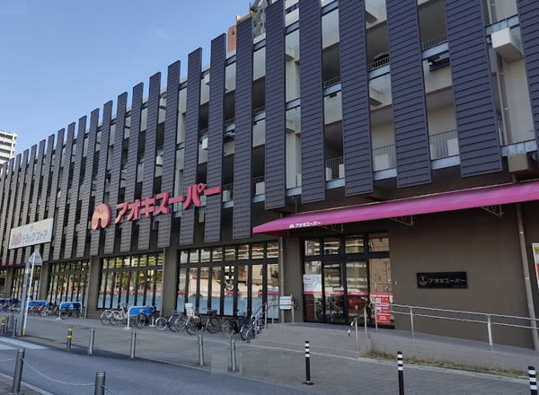 岡崎市十王町1丁目の土地(アオキスーパー岡崎康生店)