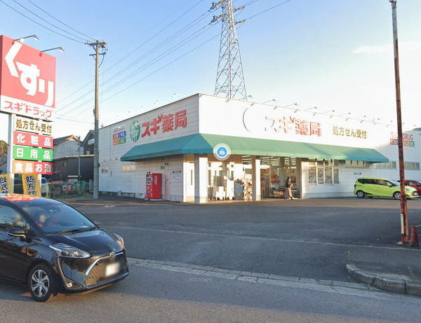 岡崎市大平町字天神前の新築一戸建(スギ薬局大平店)