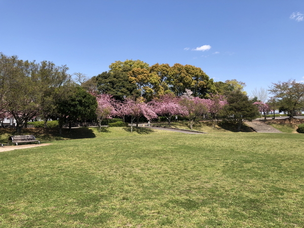 豊田市御船町奥山畑の土地(豊田市運動公園)