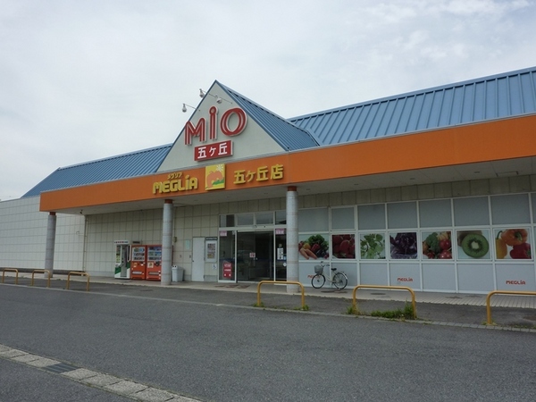 豊田市五ケ丘3丁目の中古一戸建て(メグリア五ケ丘店)