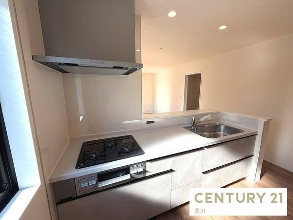 豊田市広田町谷口の新築一戸建