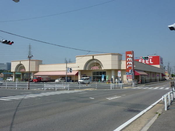 豊田市秋葉町８丁目の新築一戸建(フィールフードメッセトヨタ)