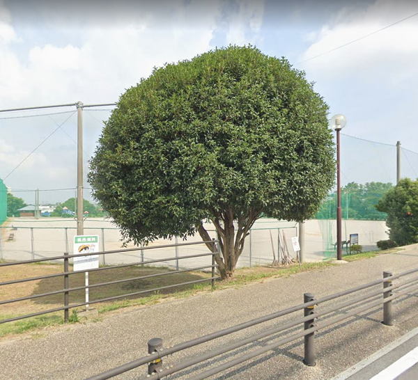 豊田市深田町４丁目の新築一戸建(深田公園)