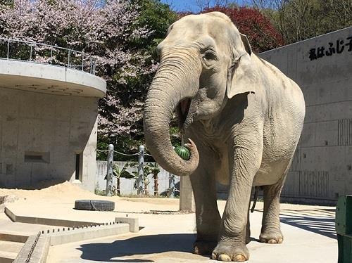 岡崎市欠町字狐ケ入の中古一戸建て(東公園)