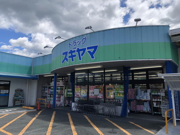 新城市字橋向の中古一戸建て(ドラッグスギヤマ新城店)