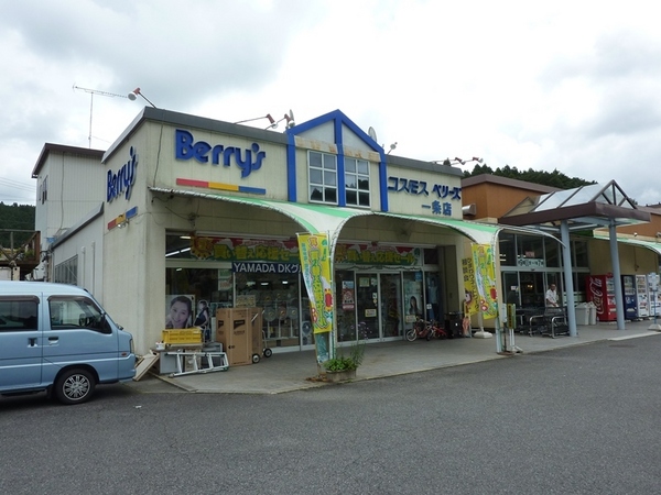 豊田市大沼町後庵の中古一戸建て(コスモスベリーズ一条店)