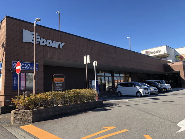 岡崎市栄町３丁目の新築一戸建(ドミー竜美丘店)