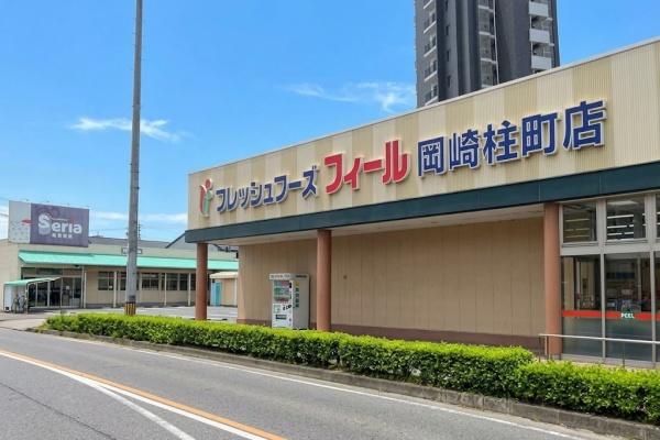 岡崎市宮地町字郷東の新築一戸建(フィール岡崎柱町店)
