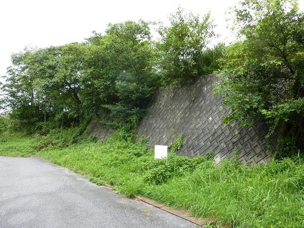 豊田市花沢町西ノ入の土地