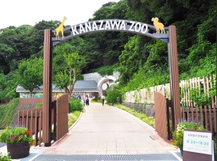 金沢区釜利谷西２丁目　新築一戸建て全１棟(横浜市立金沢動物園)