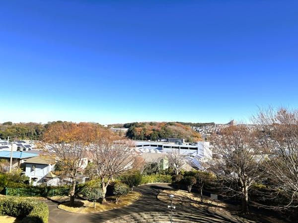 市ドリームハイツ１号棟