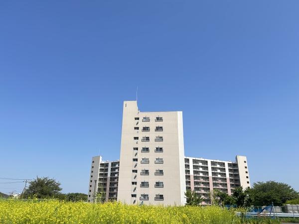 市ドリームハイツ１号棟