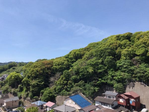 日神パレステージ横須賀田浦