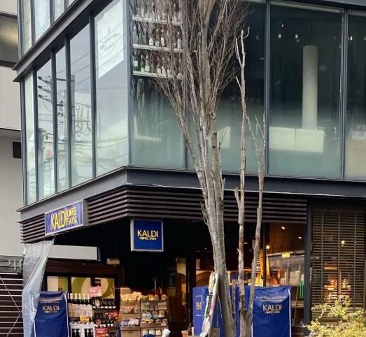 逗子ホワイトハウス(カルディコーヒーファーム逗子店)